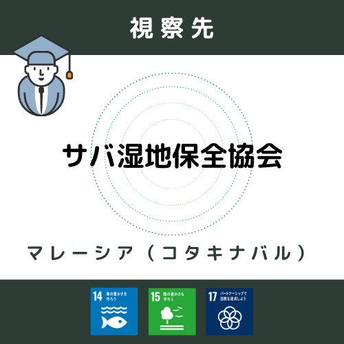 Sdgs マングローブの植林活動がなぜ必要なのか エスエムアイトラベルジャパン